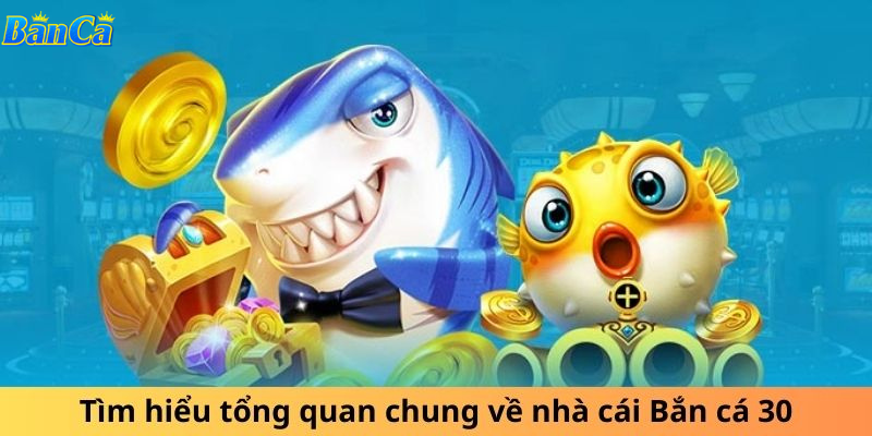 Giới thiệu về Banca30